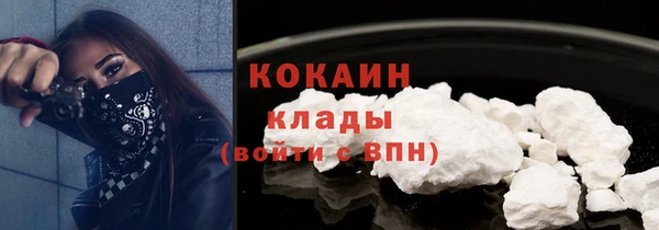 прущая мука Богородицк