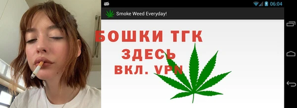 гашик Бронницы