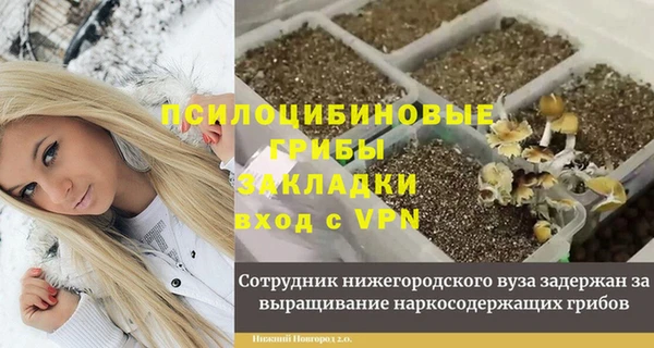 кокаин Богданович