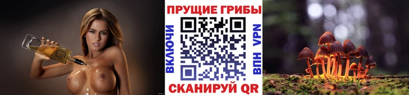 Купить закладки  Данилов  Галлюциногенные грибы мухоморы 