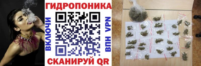 Купить закладки  Данилов  Бошки Шишки White Widow 
